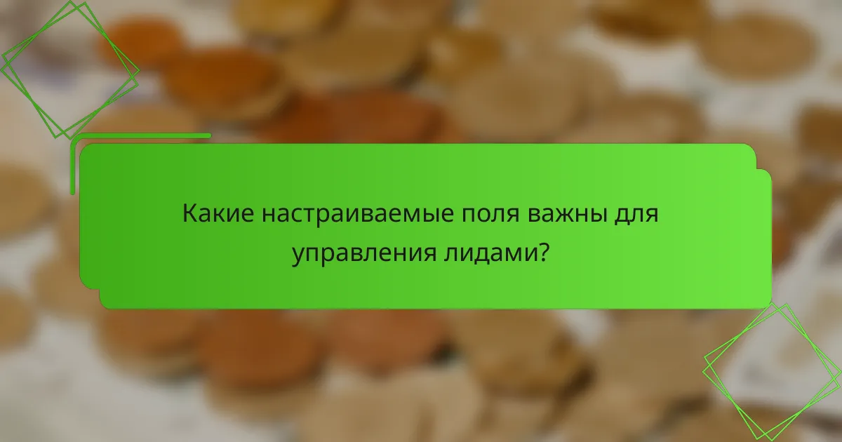 Какие настраиваемые поля важны для управления лидами?