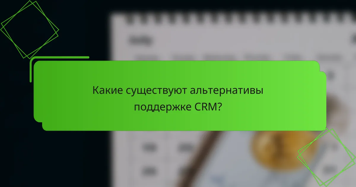 Какие существуют альтернативы поддержке CRM?